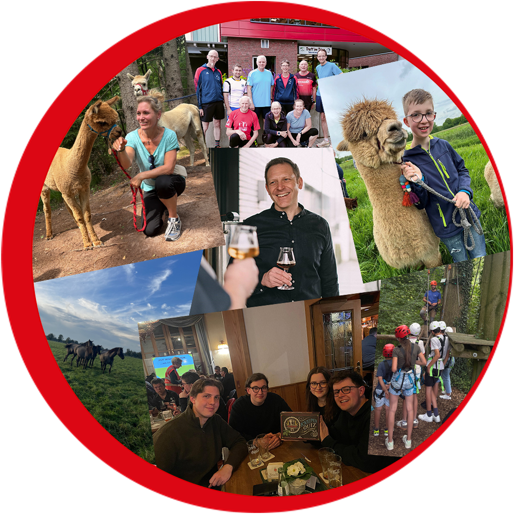 bz fuer dich header kollage